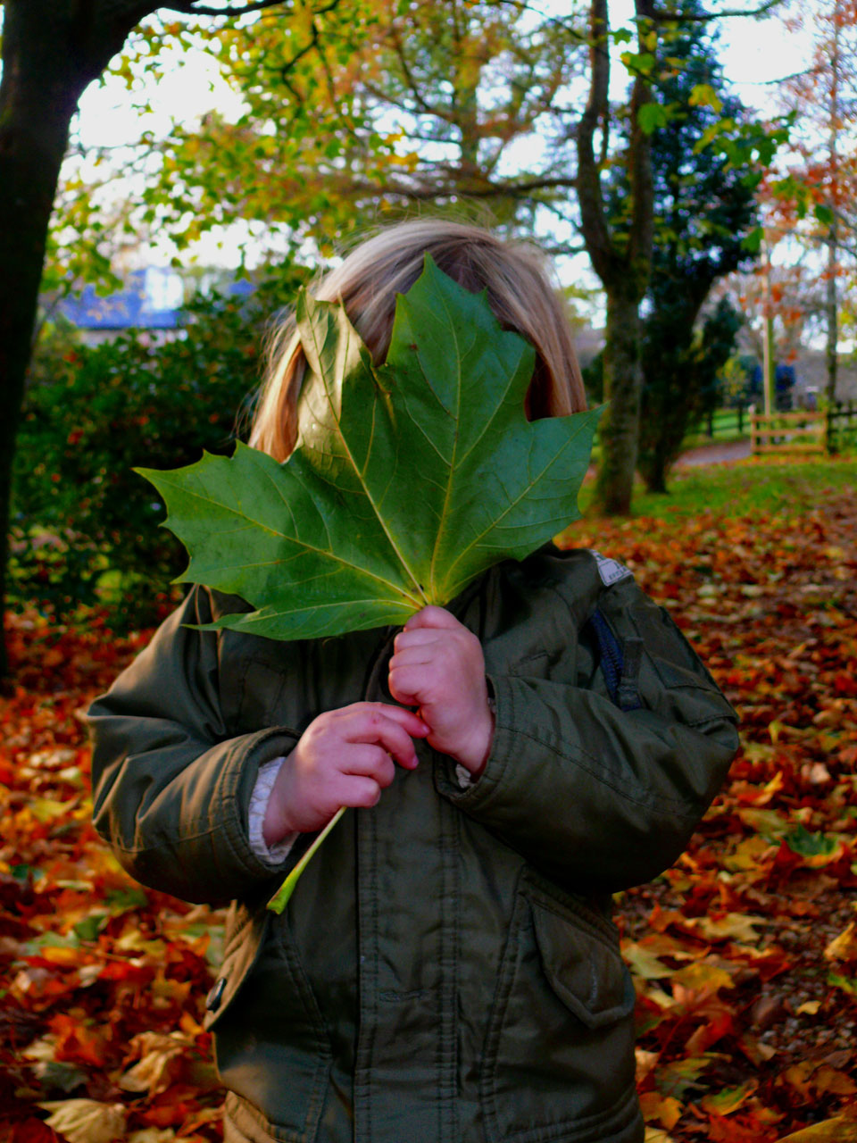 little girl girl fun free photo