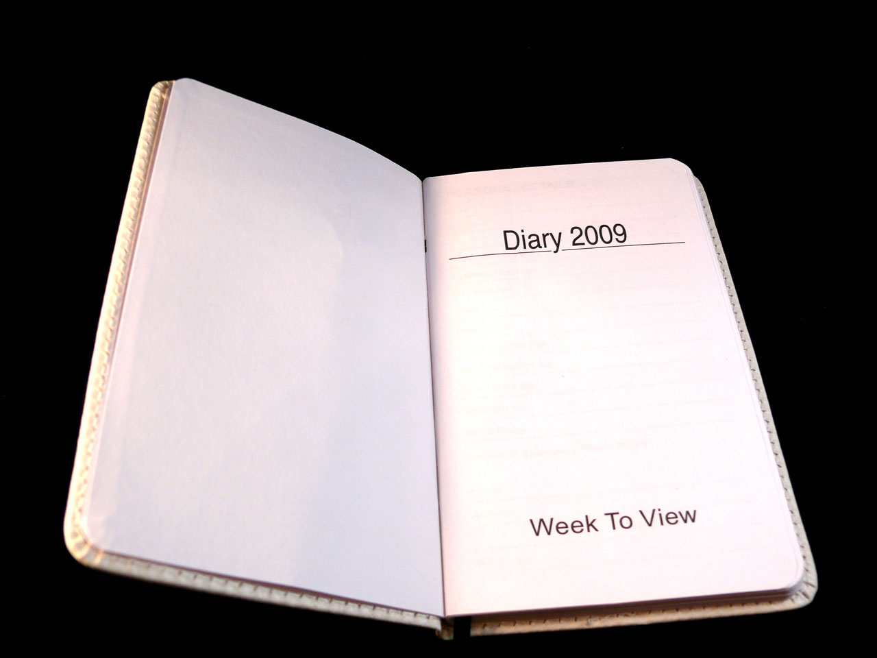 diary 2009 work free photo