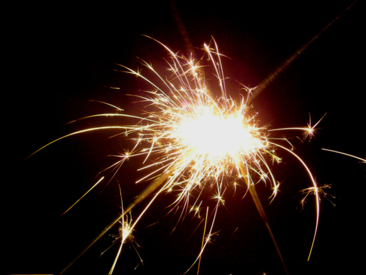 firework new year night free photo