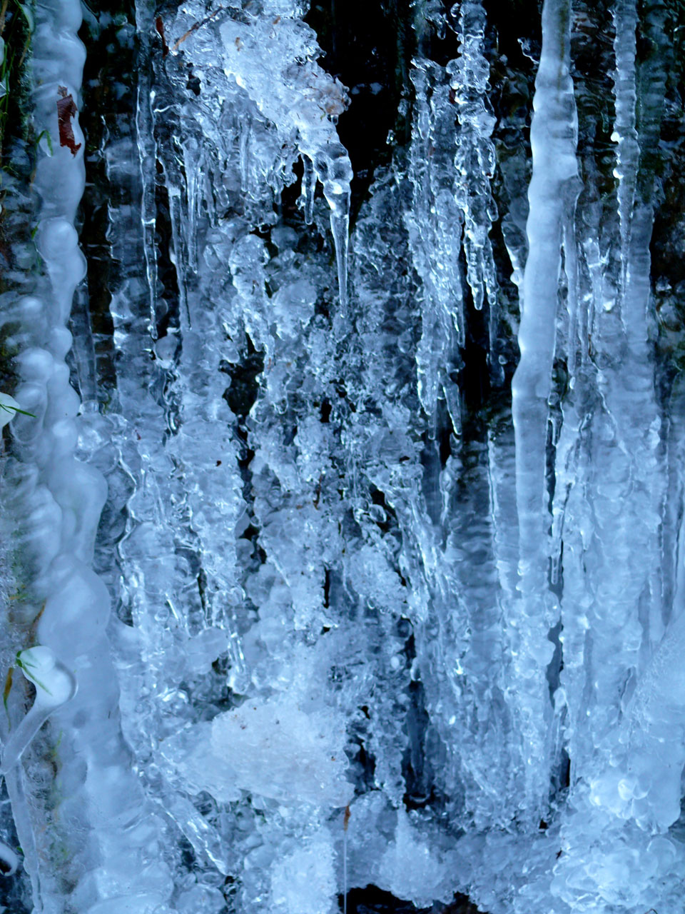 ice winter cold free photo