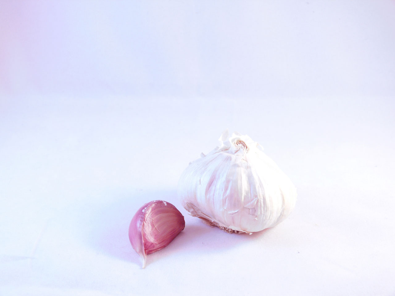 garlic white background free photo
