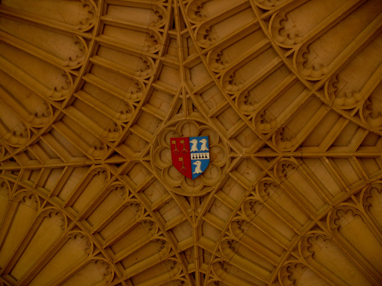 heraldry ceiling old free photo
