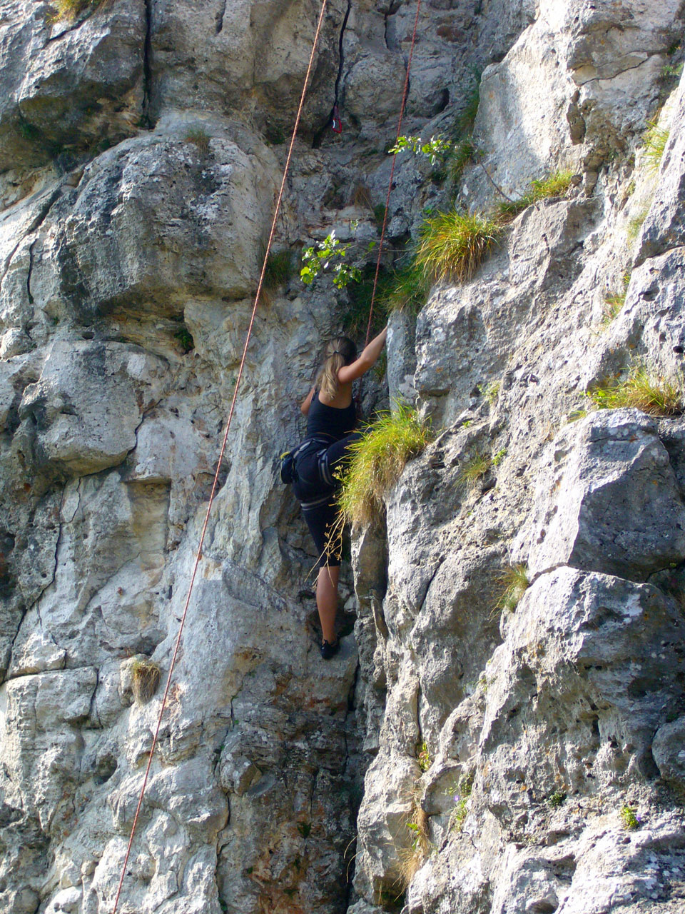 rockclimbing climbing rock free photo