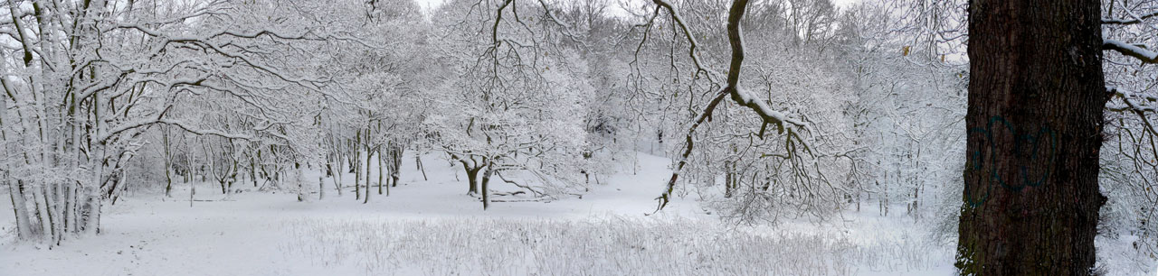 winter snow panorama free photo