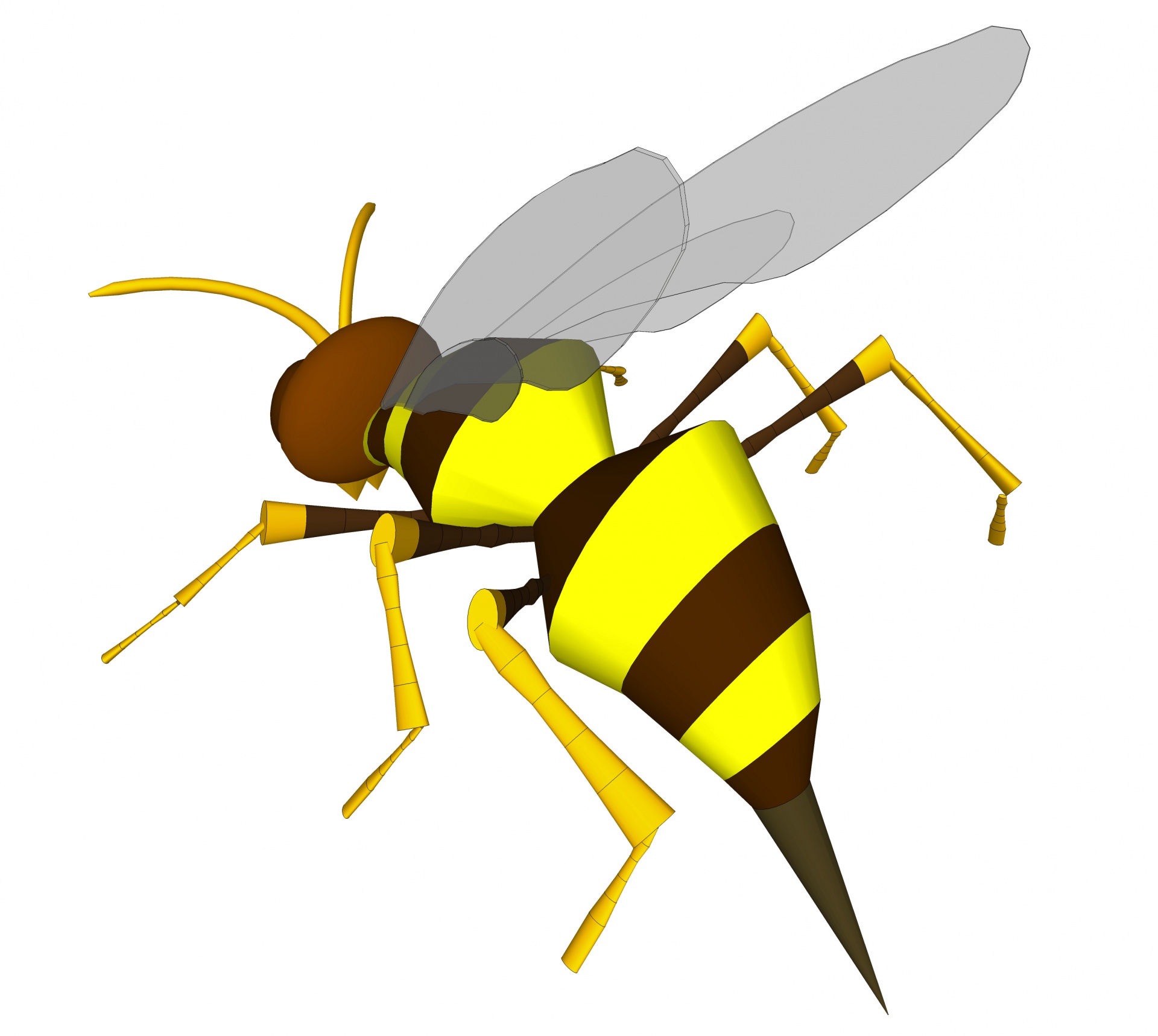 drawing 3d wasp free photo