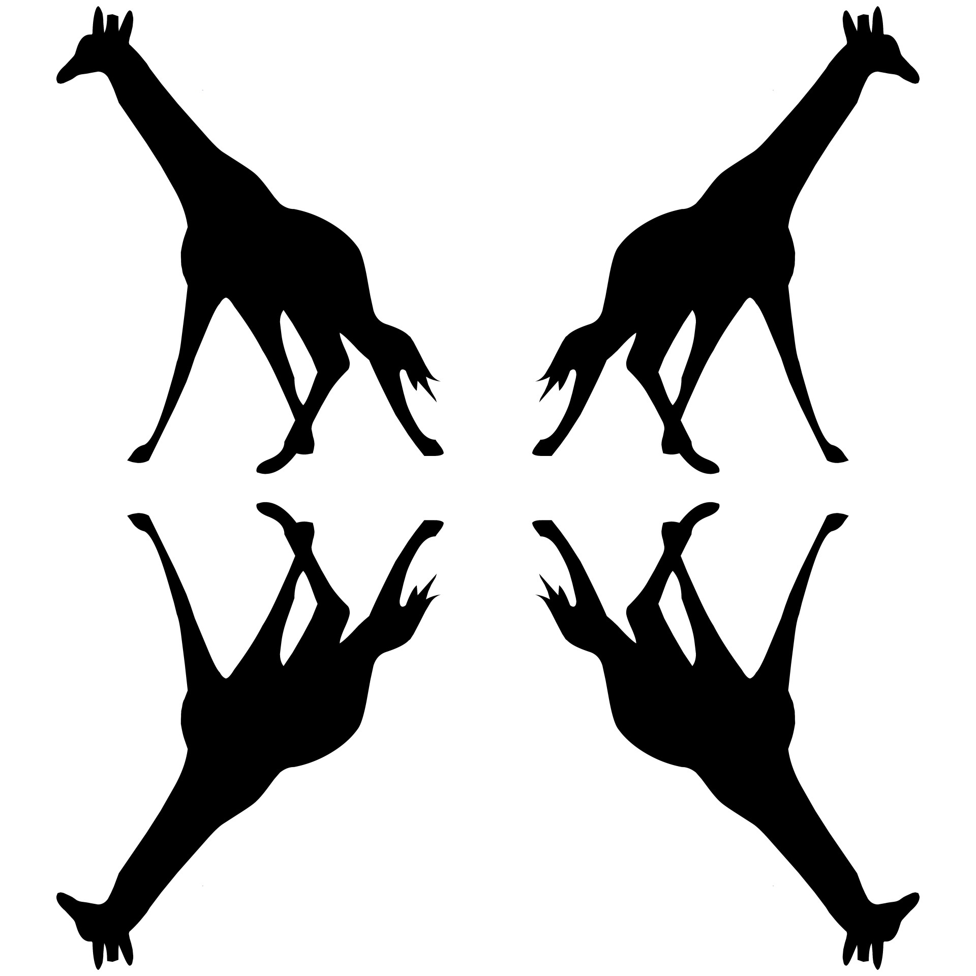 silhouette 4 giraffes free photo