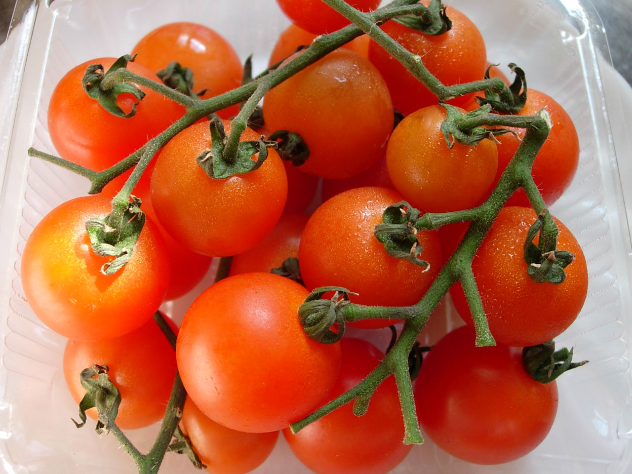 tomatoes vine tomato free photo