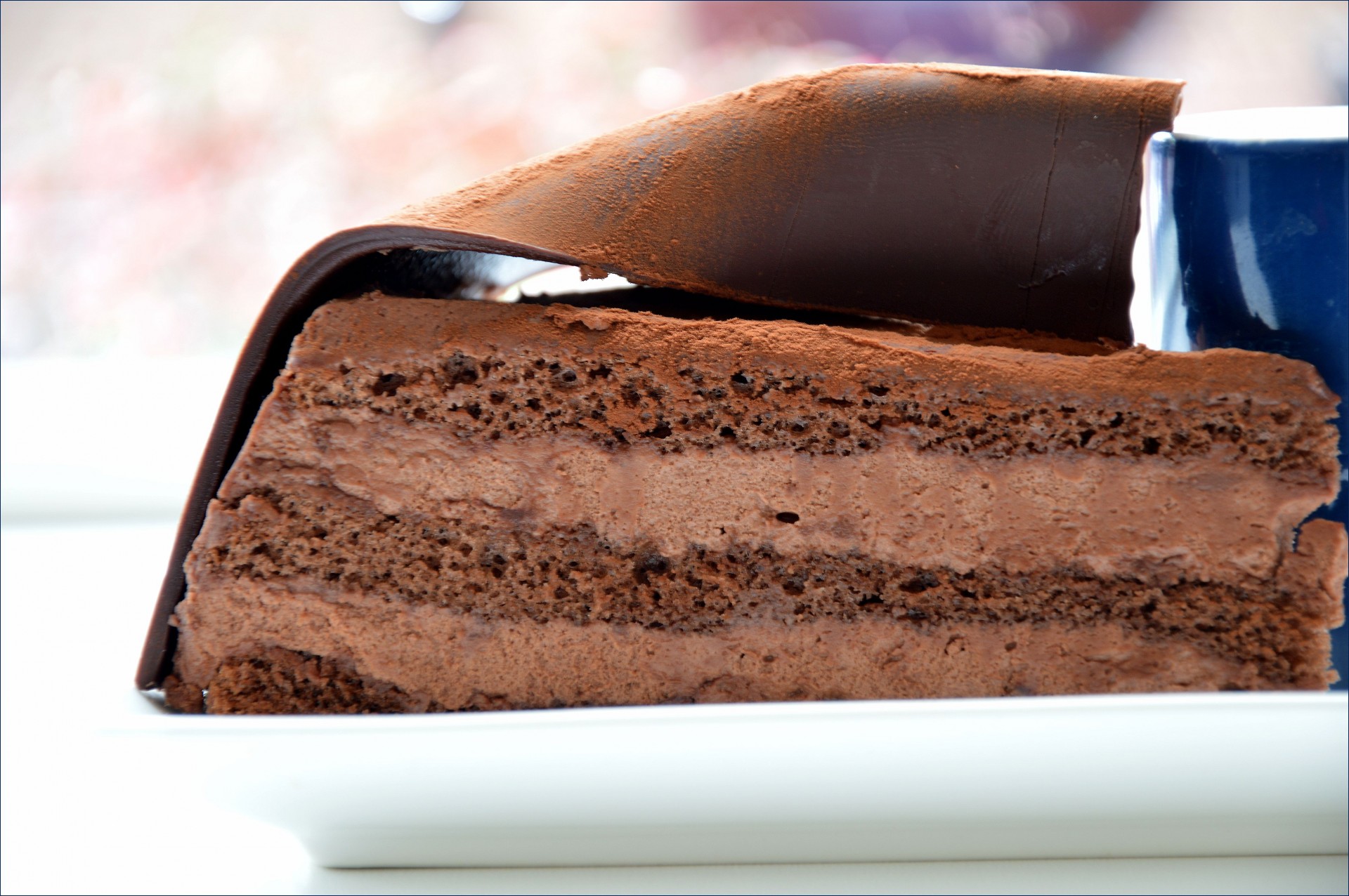 chocolate cake food free photo