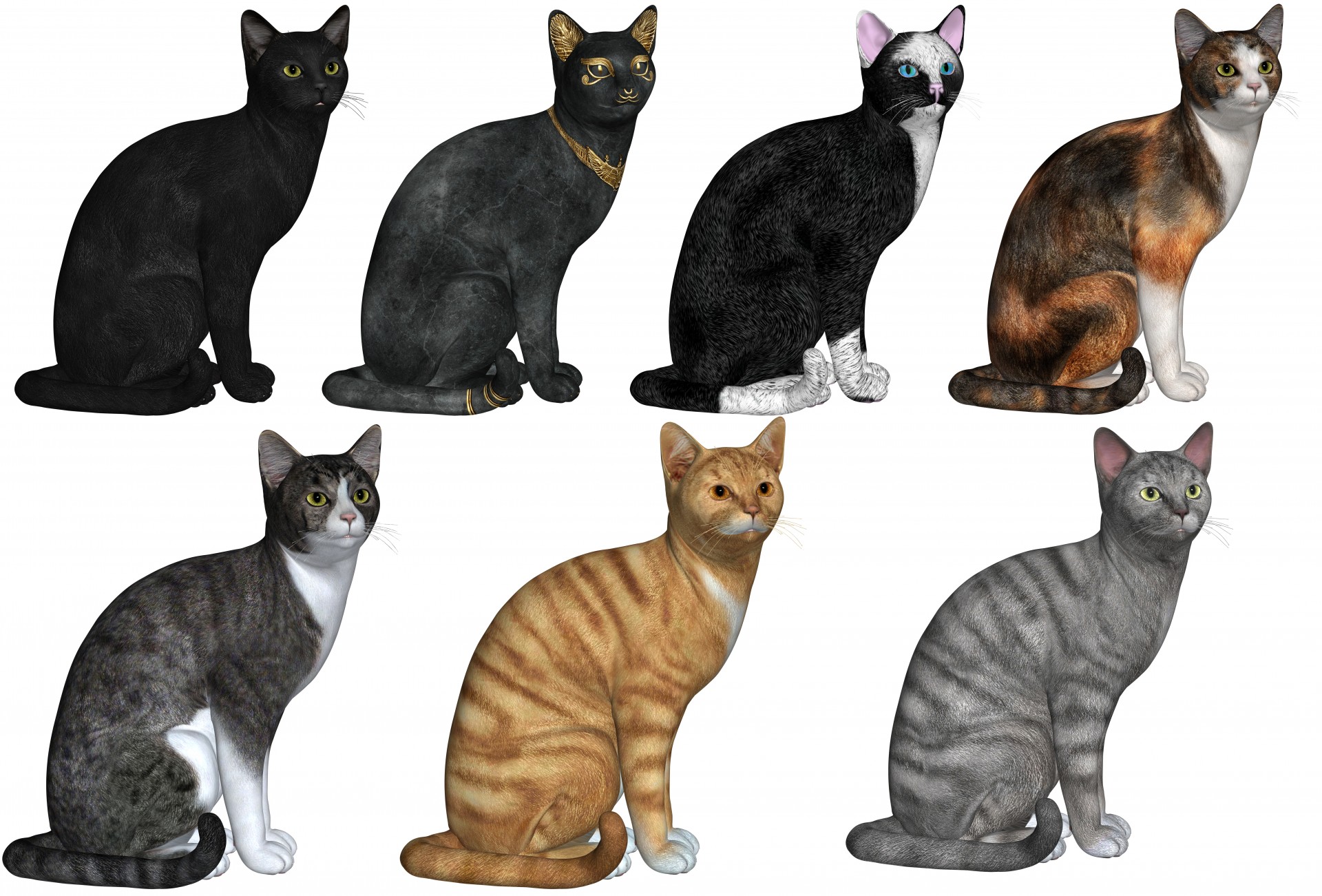 7 cats various colours 3d rendered cats cat free photo