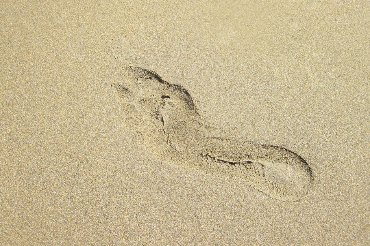 barefoot beach feet free photo
