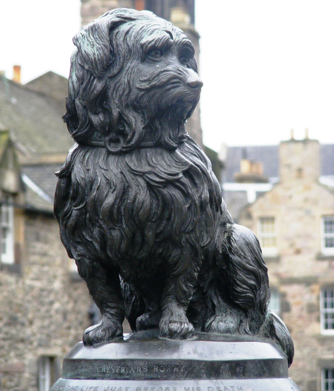 greyfriars bobby edinburgh statue free photo