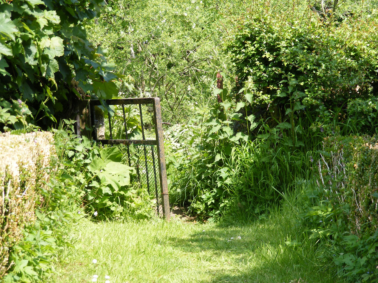 foliage greenery gate free photo