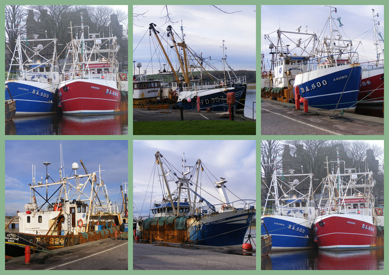 trawlers collage scotland free photo