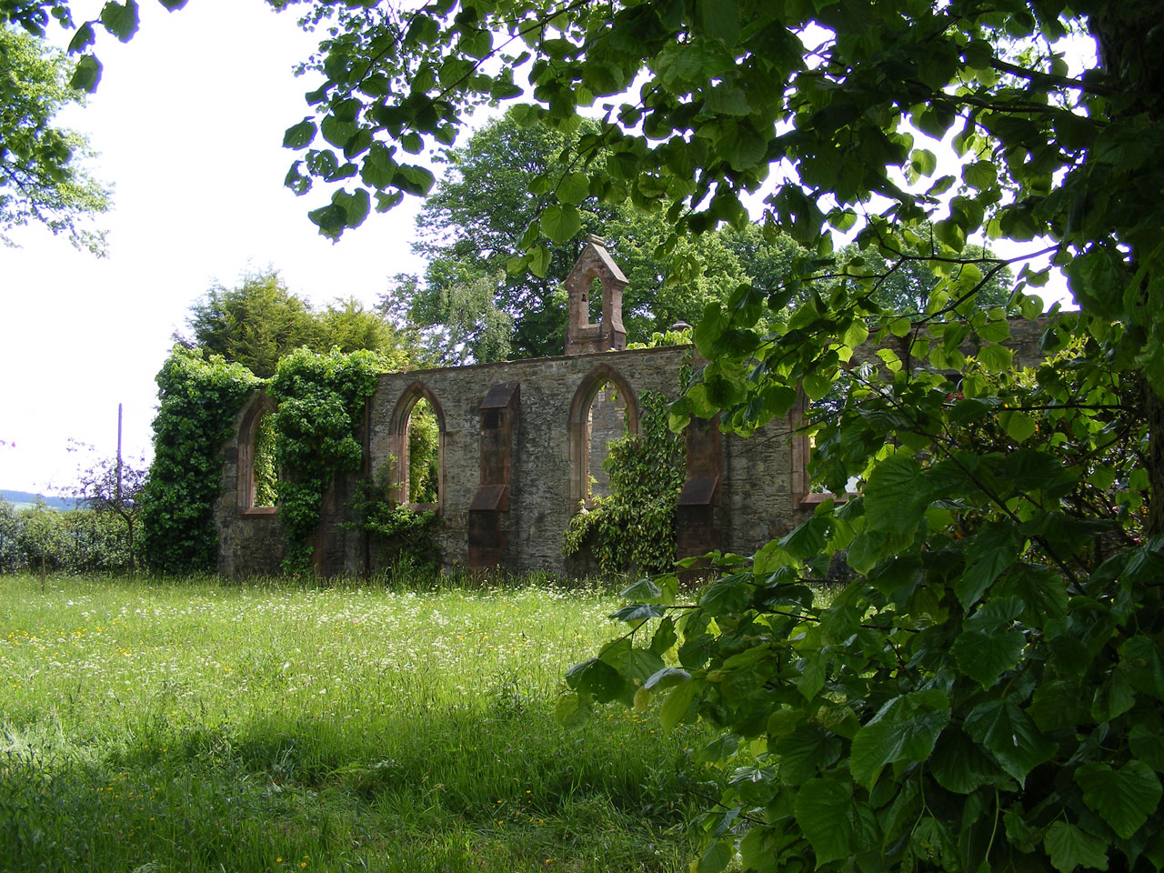 grass nature ruin free photo