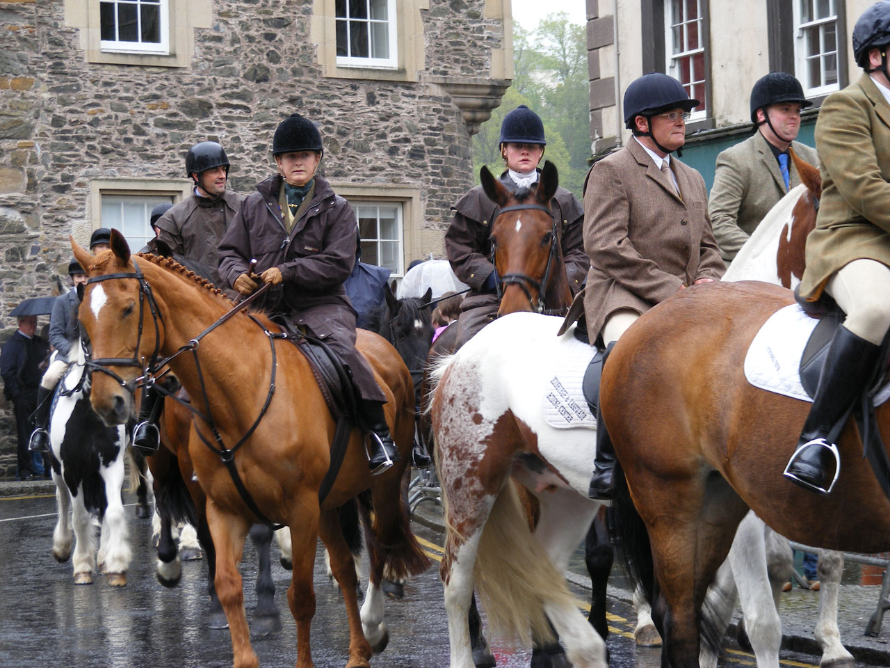 horses riding hawick free photo