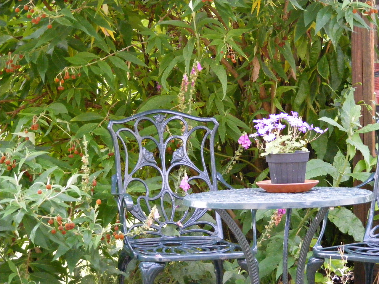 garden chair table free photo