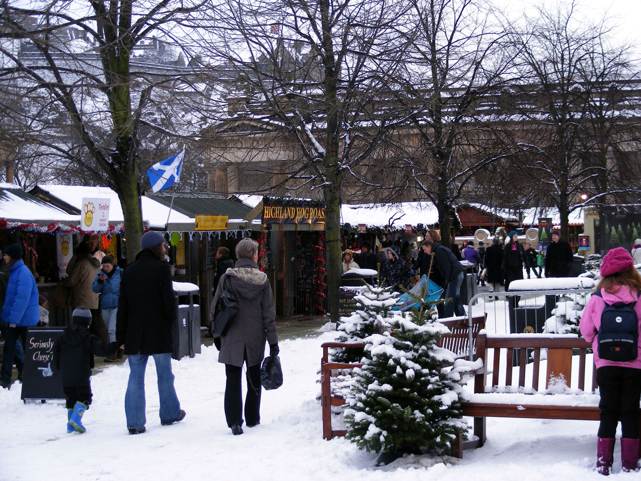 market people trees free photo