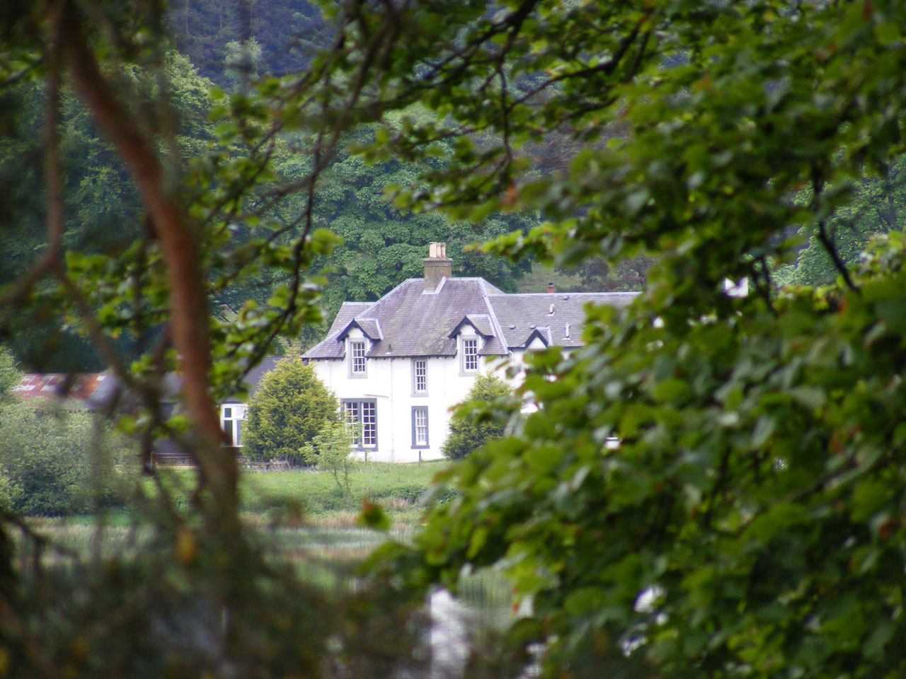 leaves house building free photo