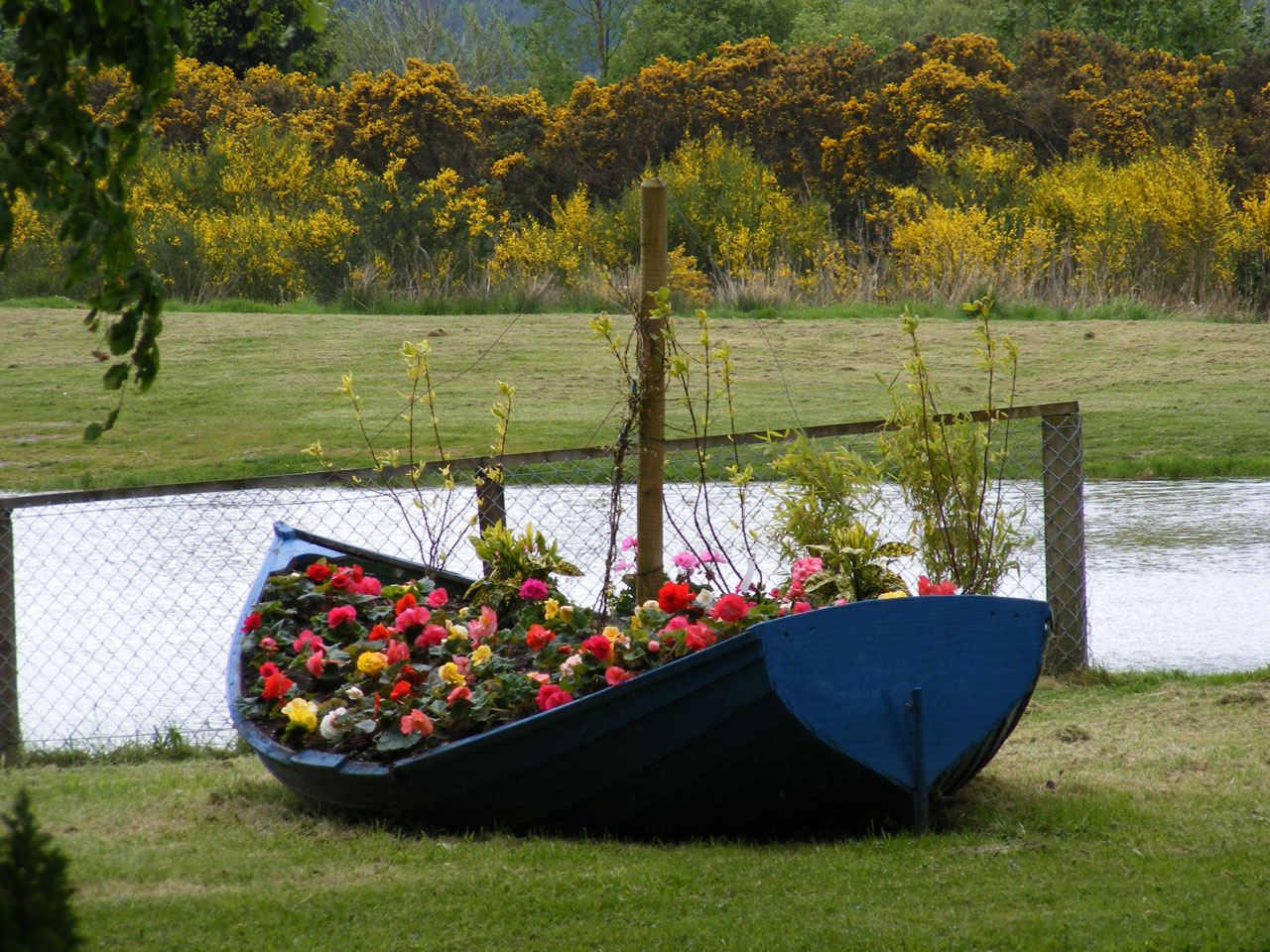 grass boat blue free photo