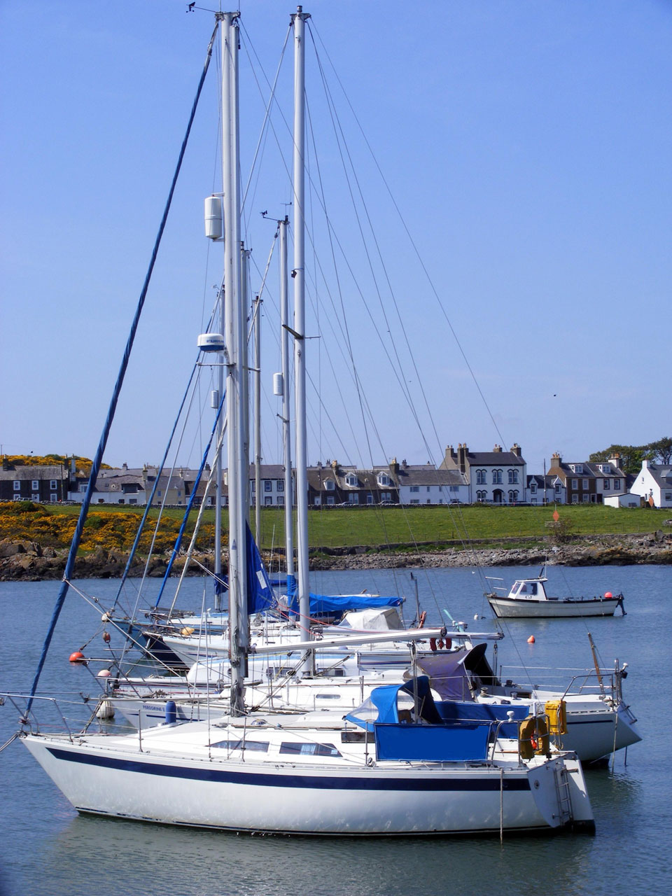 yachts sails water free photo