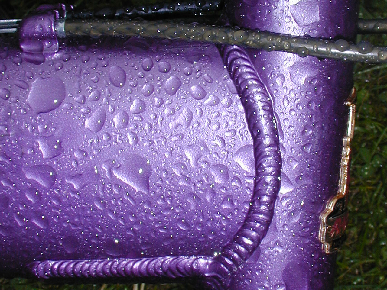 raindrops macro cycle free photo