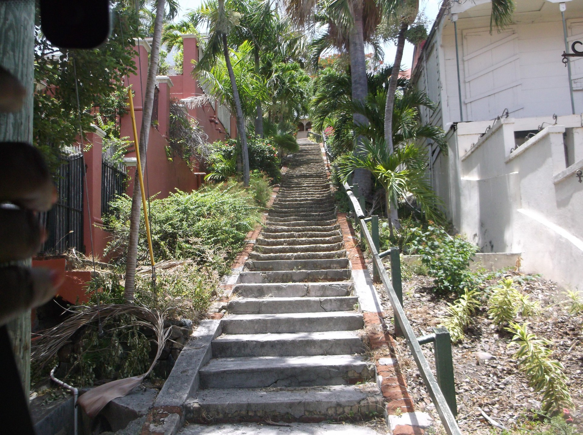 99 stairs steps free photo