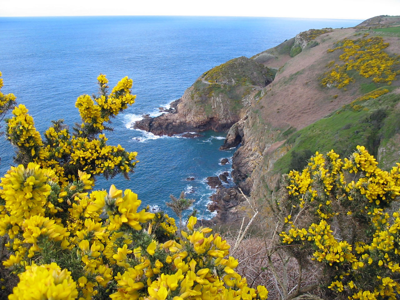 coast sea water free photo