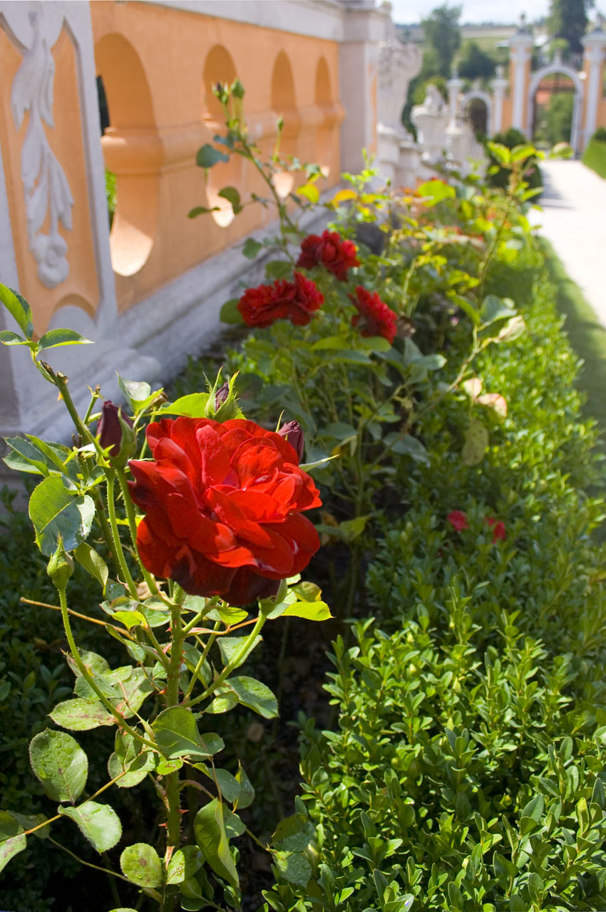 castle garden red free photo