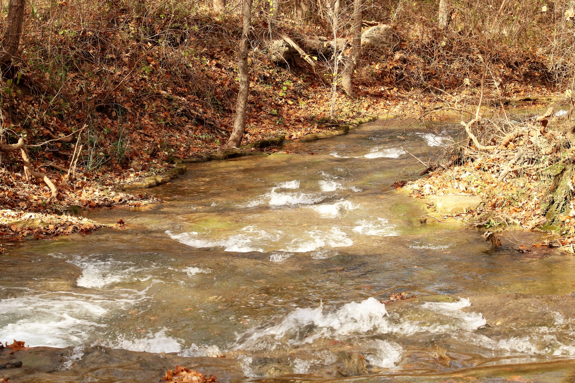 nature landscape water free photo