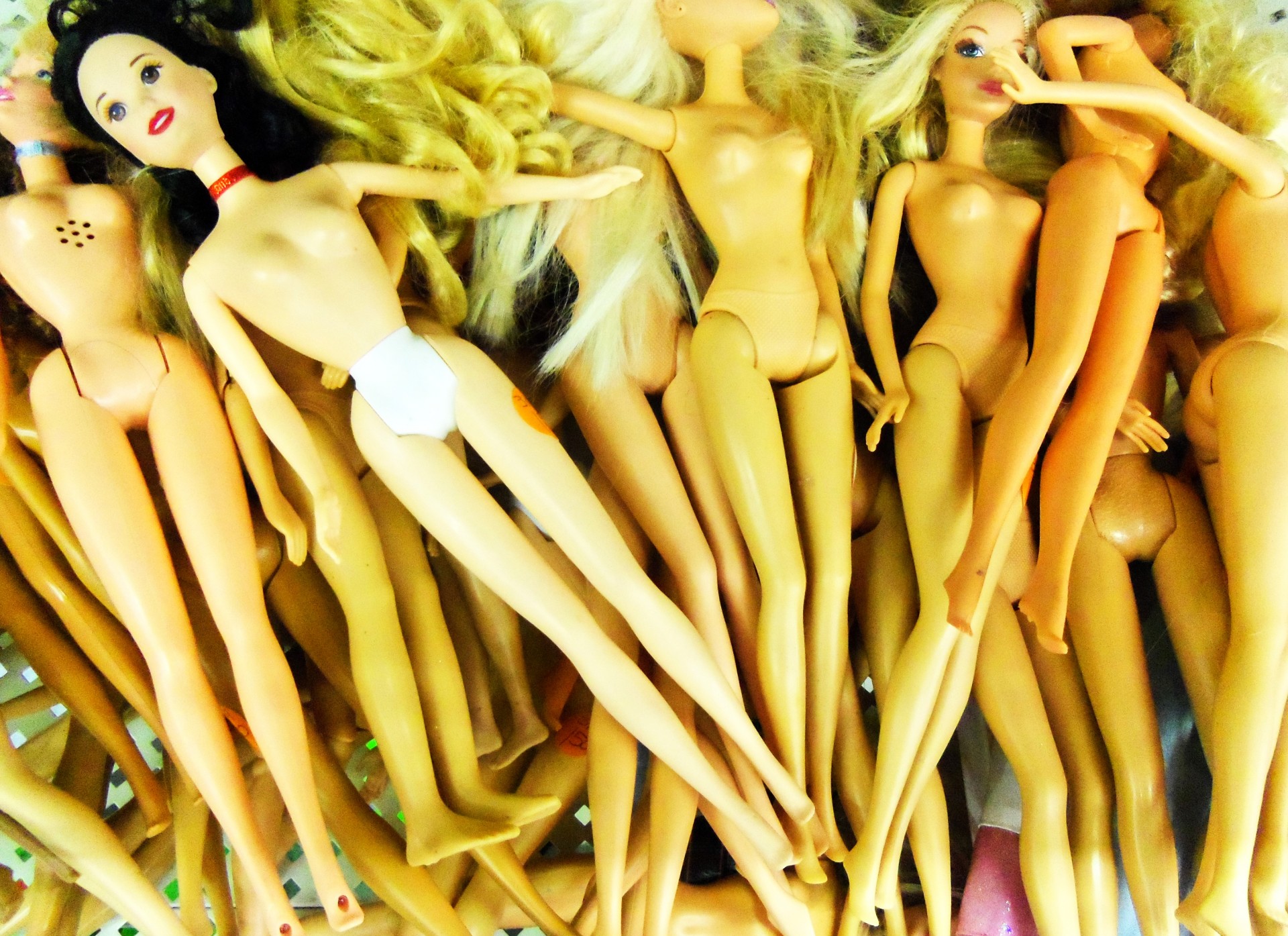 barbie doll a bevy of barbies free photo