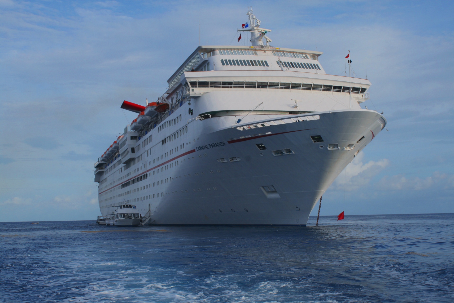 cruise boat ship free photo