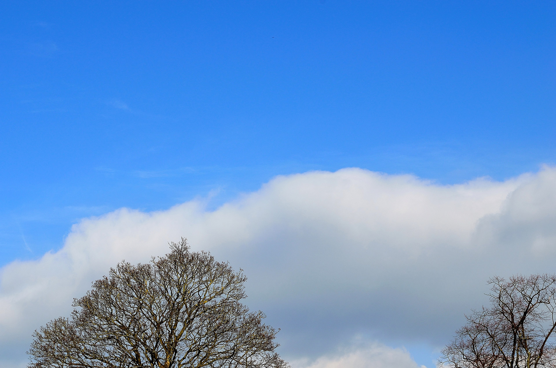 sky blue cloud free photo