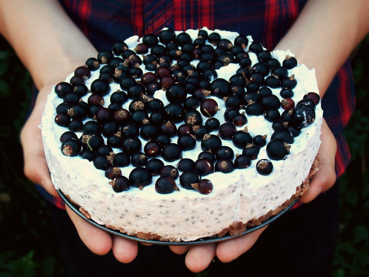 a cake currant fresh free photo