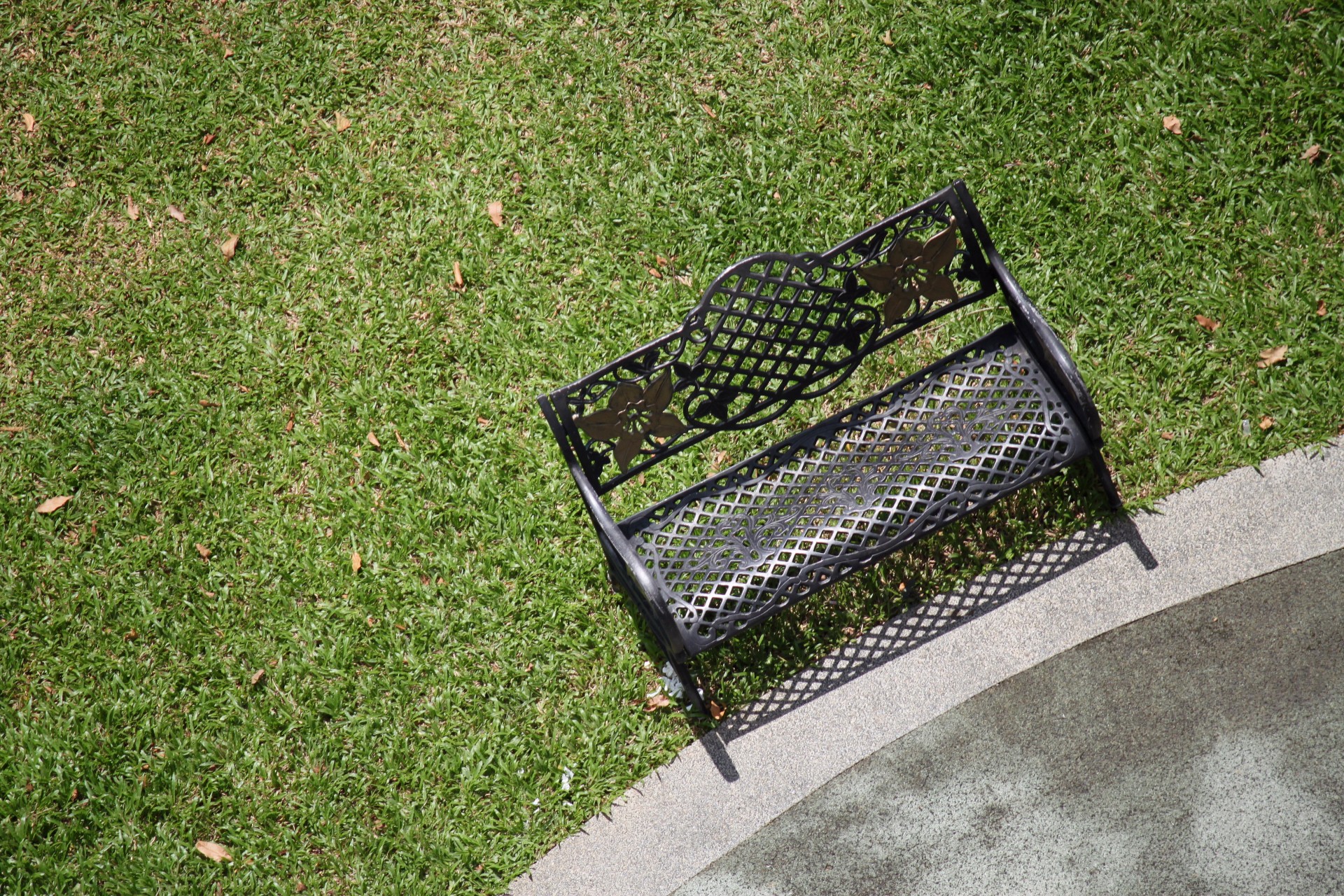 a chair grass free photo