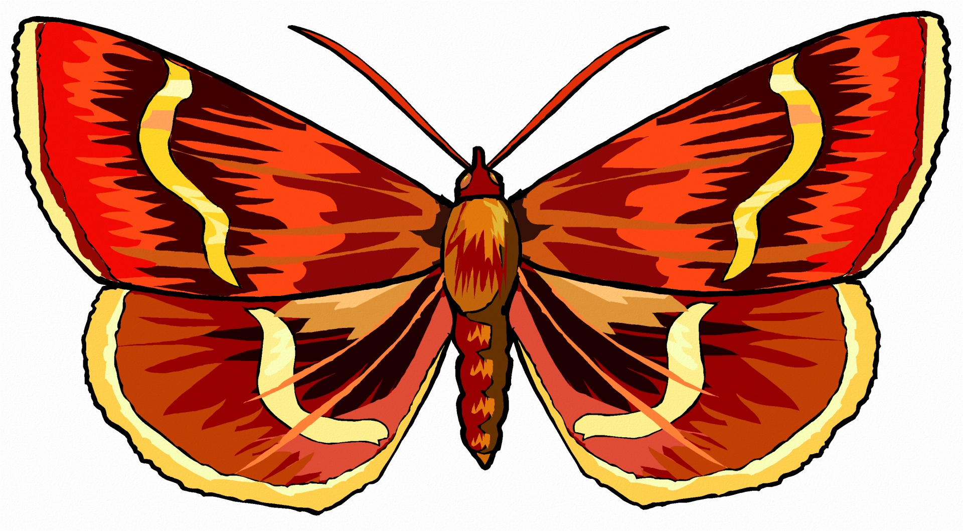 butterfly clip-art fantasy free photo