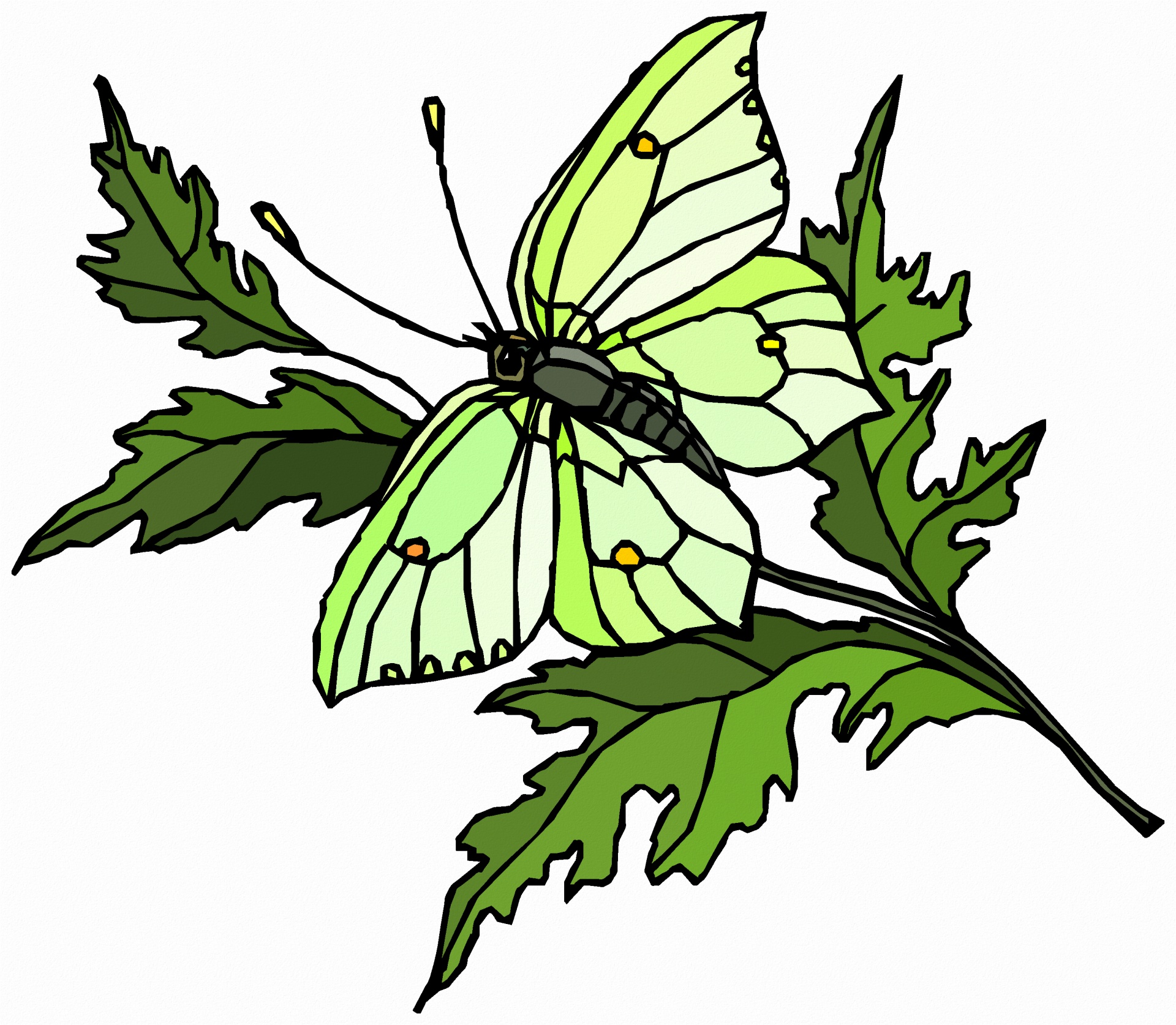 Бабочка на ветке рисунки