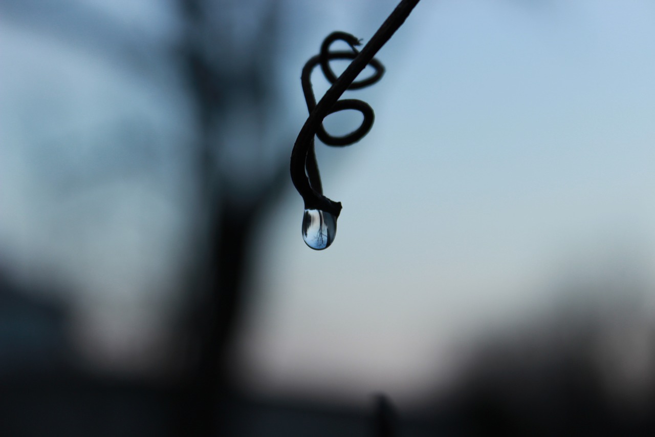 a drop of reflection loneliness free photo