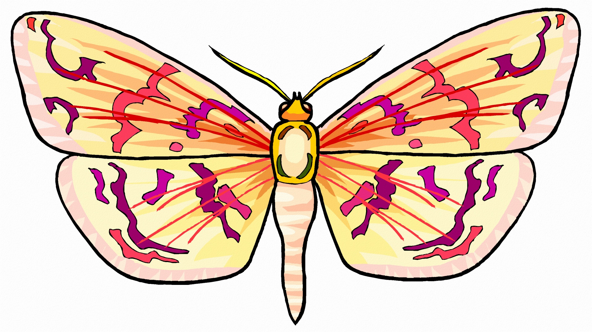 creative fantasy butterfly free photo