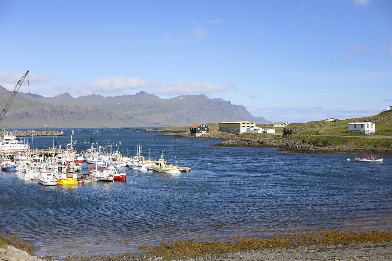 a fishing village ocean iceland free photo