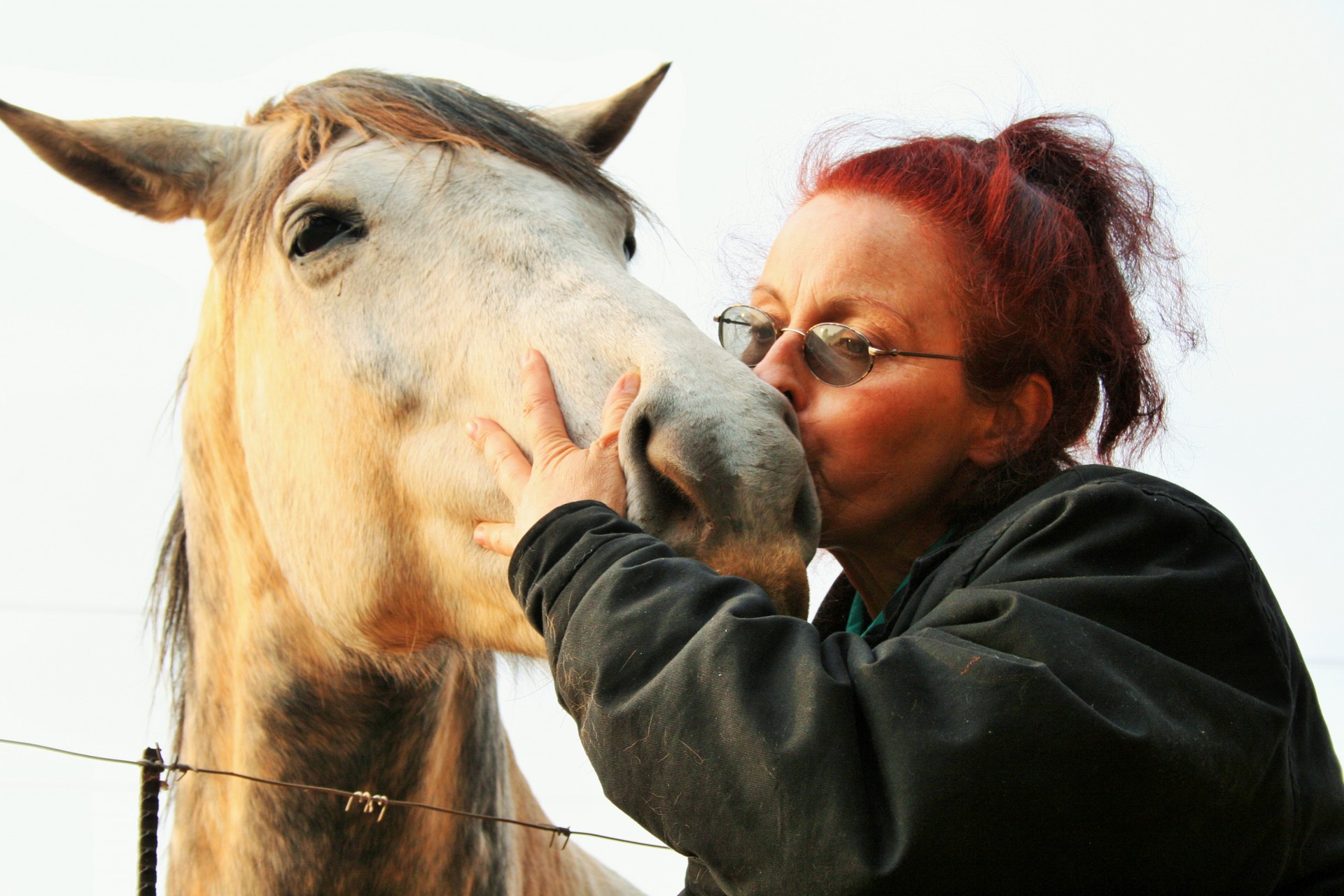 horse grey woman free photo