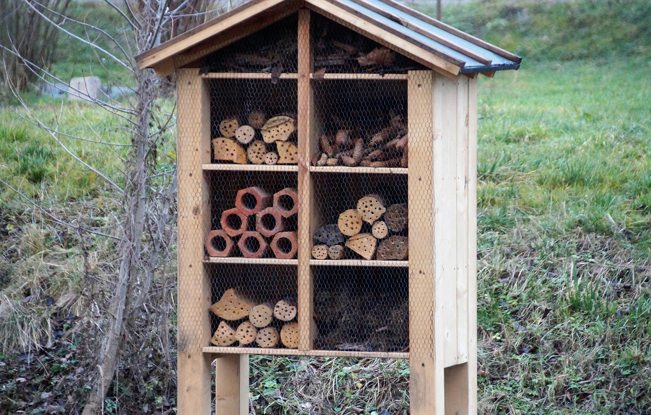 a house for insects  insect  shelter free photo