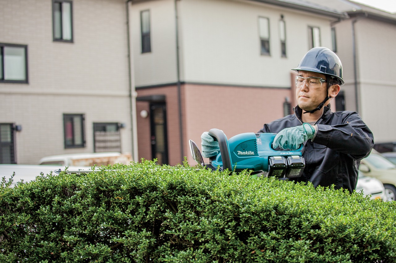 a living fence ppe bush free photo