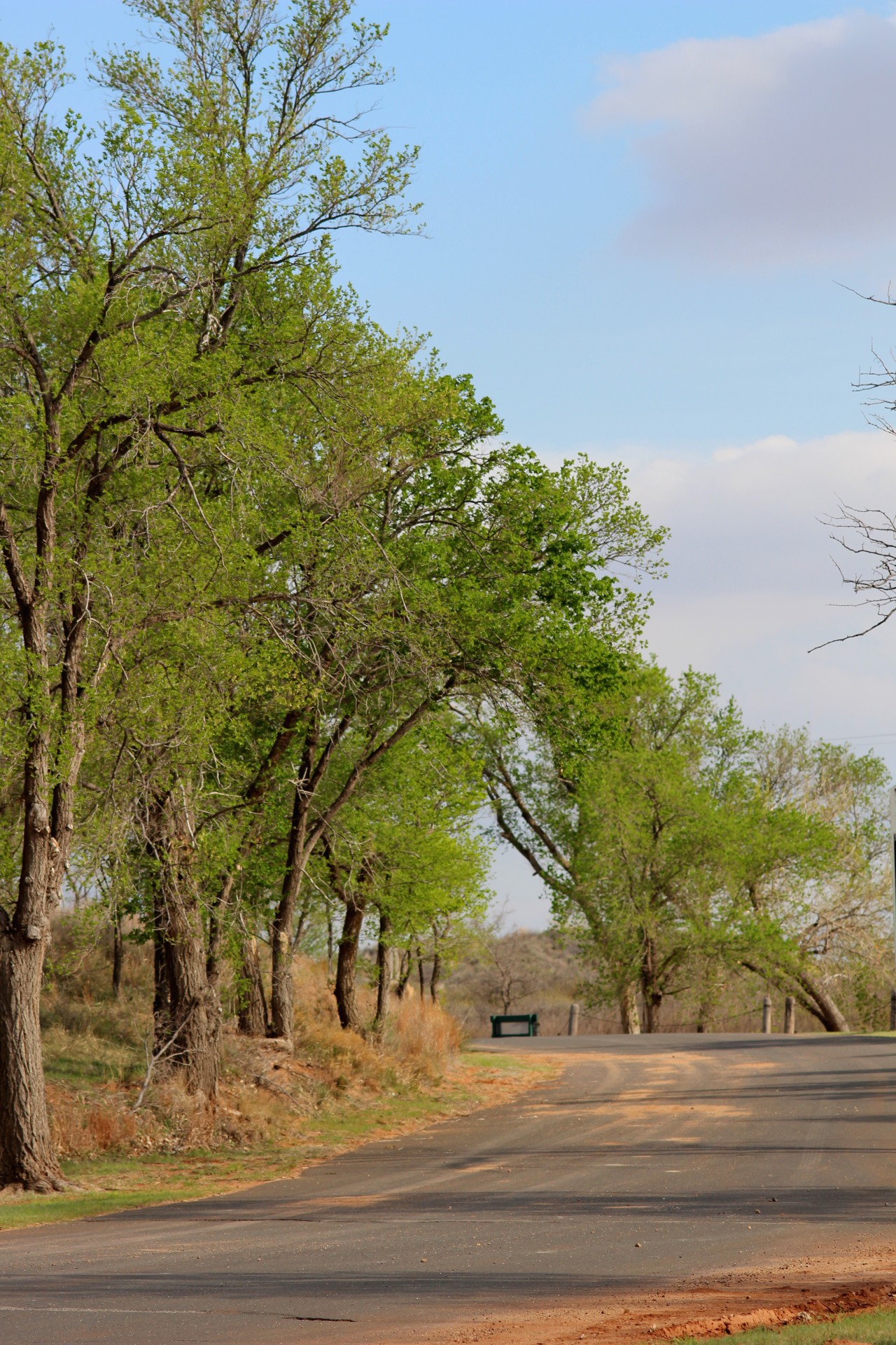 paths roads street line free photo