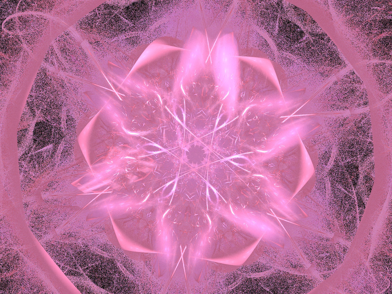 pink fractal a pink fractal free photo