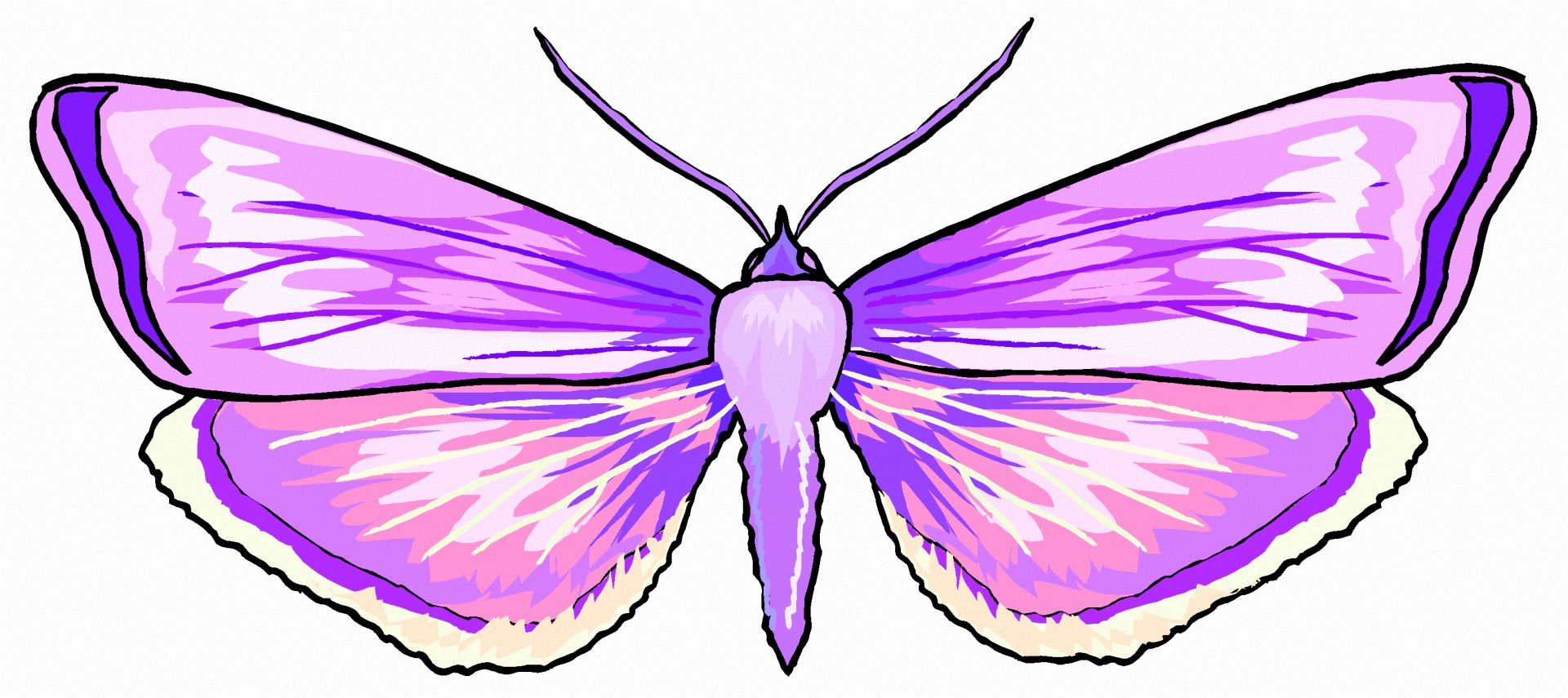 butterfly clip-art fantasy free photo