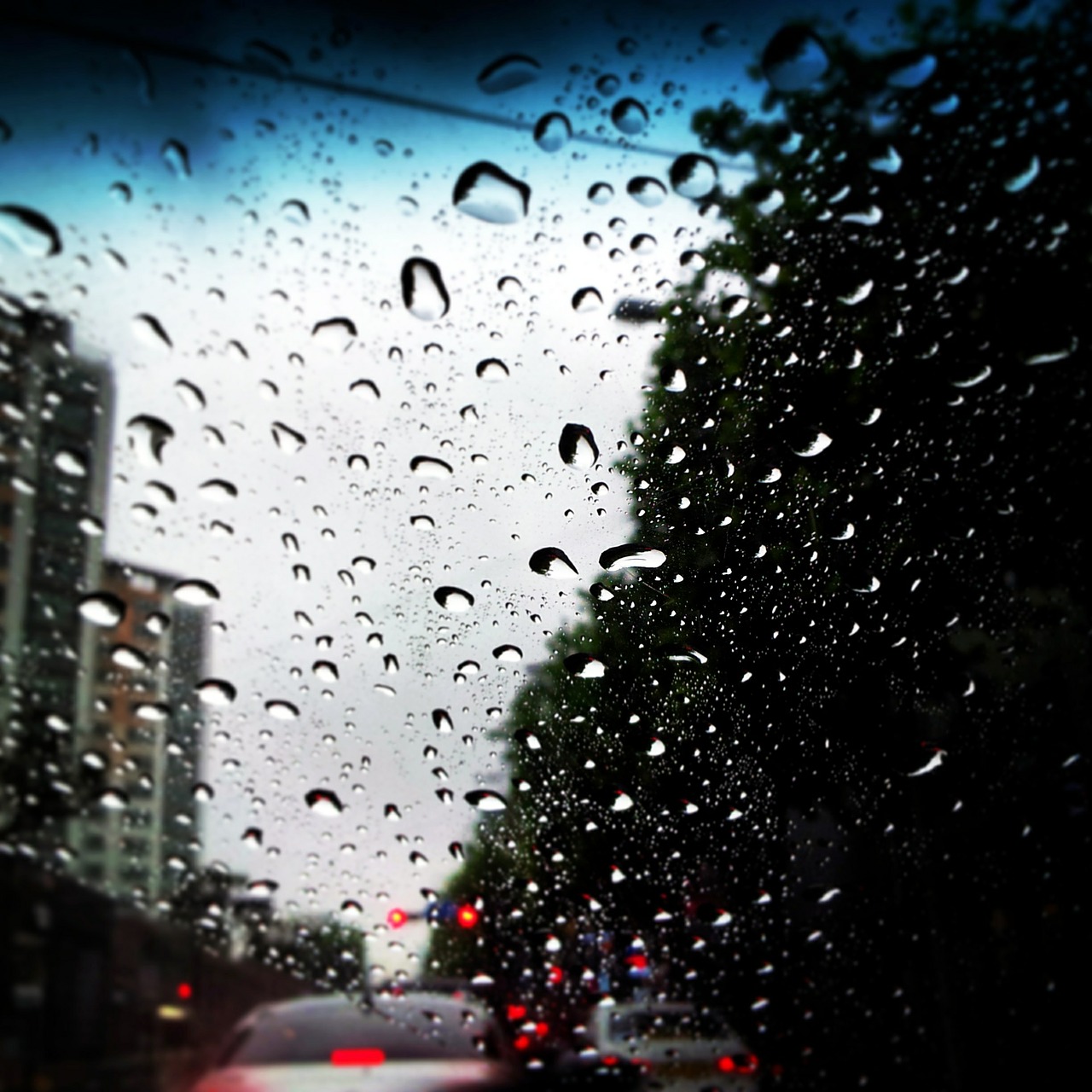 a rainy day window trickle free photo