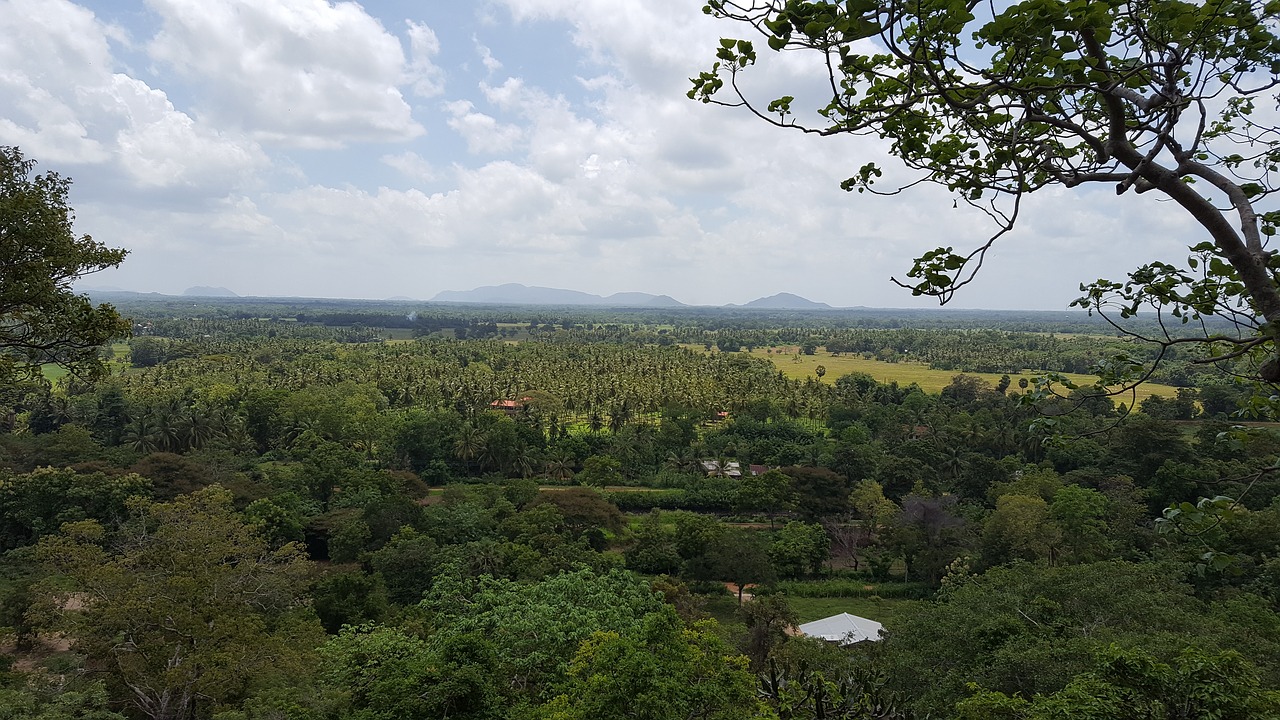 a scenic view dutugemunu forest monastery vijithapura free photo