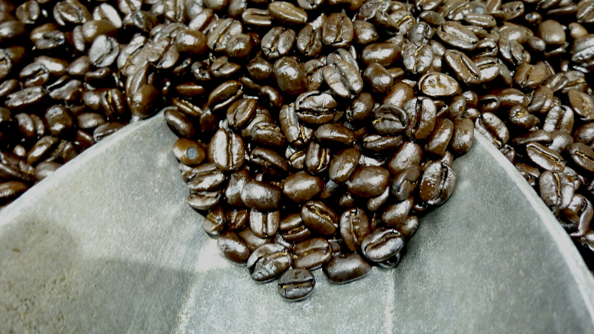 coffee beans scoop free photo