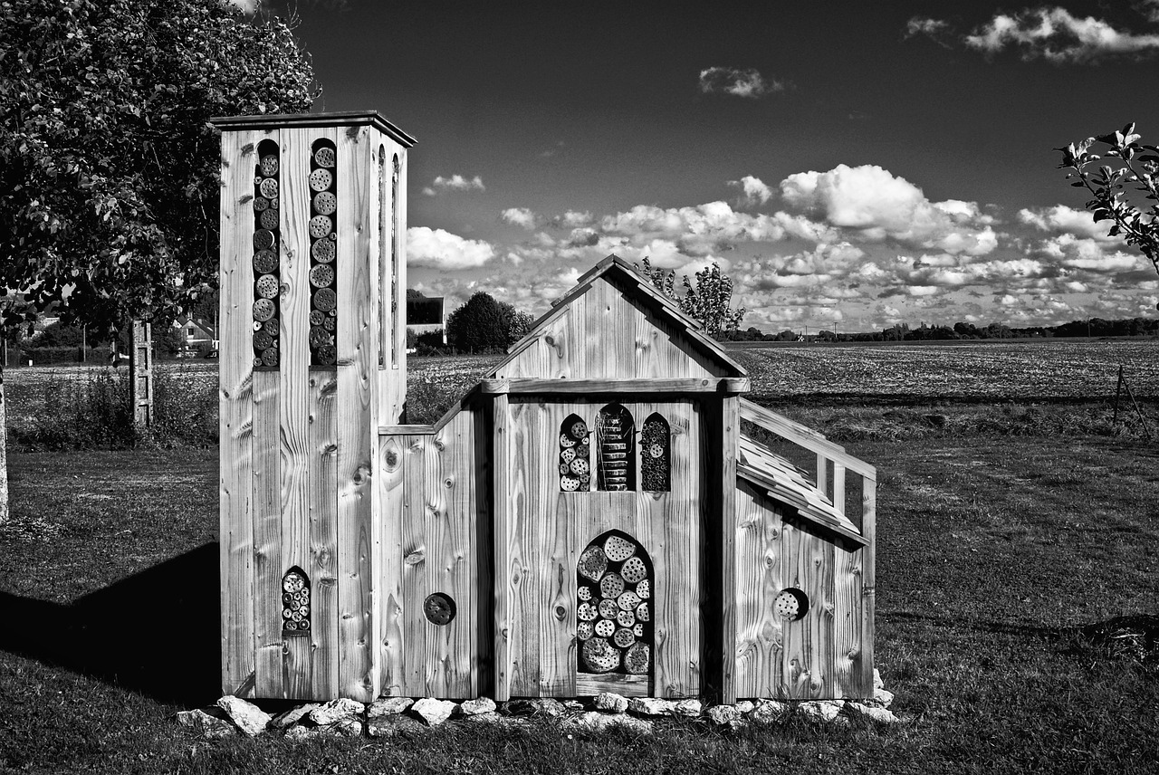 a shelter insects landscape bio diversity free photo