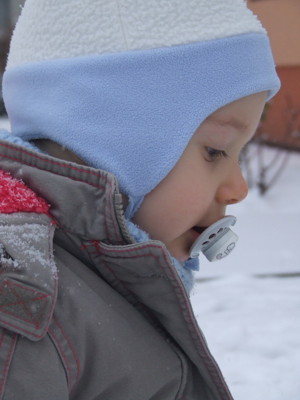 a small child winter a cap free photo